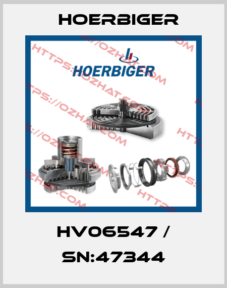 HV06547 / Sn:47344 Hoerbiger