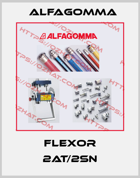 Flexor 2AT/2SN Alfagomma