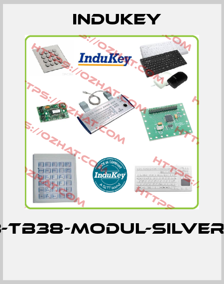 TKG-083-TB38-MODUL-SILVER-USB-US  InduKey