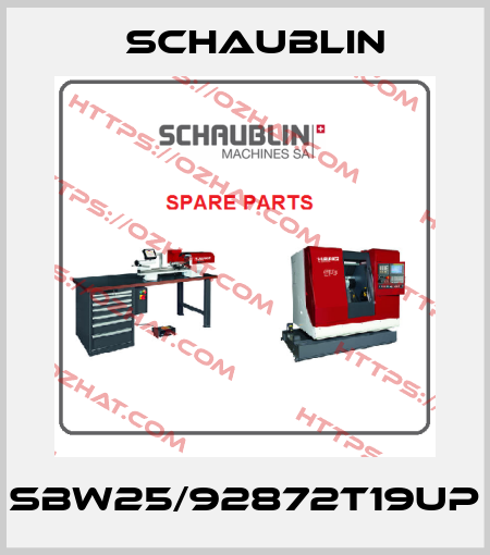 SBW25/92872T19UP Schaublin