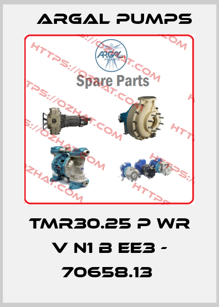 TMR30.25 P WR V N1 B EE3 - 70658.13  Argal Pumps