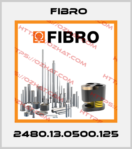 2480.13.0500.125 Fibro