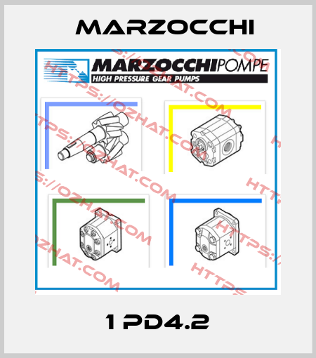 1 PD4.2 Marzocchi
