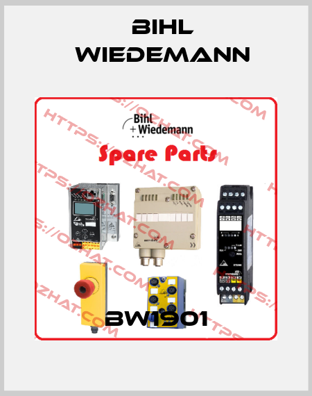 BW1901 Bihl Wiedemann