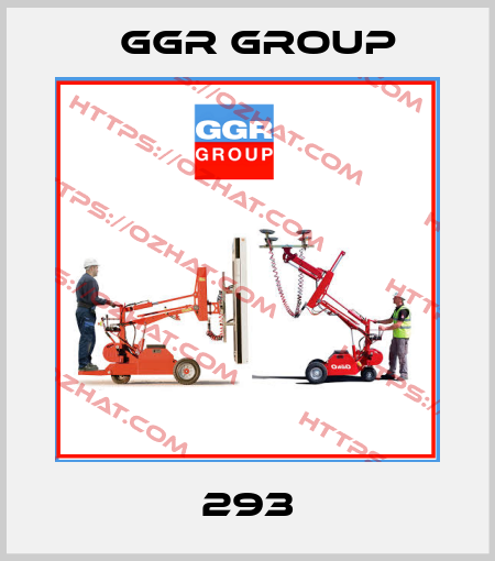 293 GGR GROUP