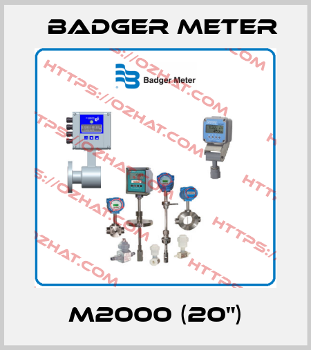M2000 (20") Badger Meter