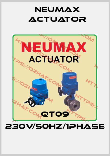 QT09 230V/50Hz/1Phase Neumax Actuator
