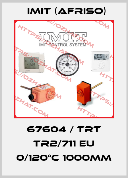 67604 / TRT TR2/711 EU 0/120°C 1000mm IMIT (Afriso)
