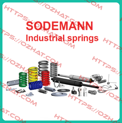 C02100180560S Sodemann