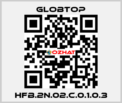 HFB.2N.02.C.0.1.0.3 Globtop
