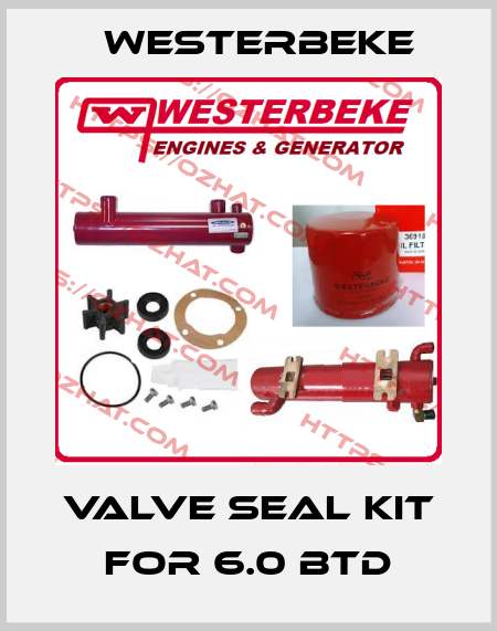 Valve seal kit for 6.0 BTD Westerbeke