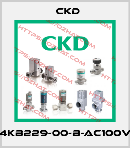 4KB229-00-B-AC100V Ckd