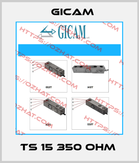 TS 15 350 OHM  Gicam