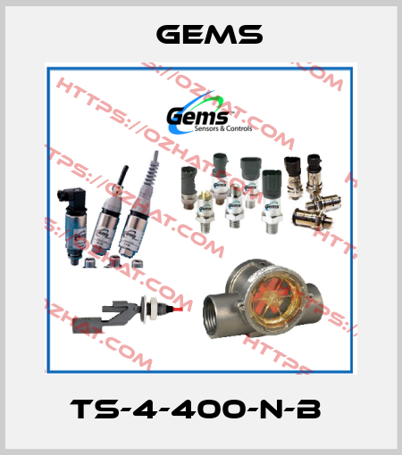 TS-4-400-N-B  Gems