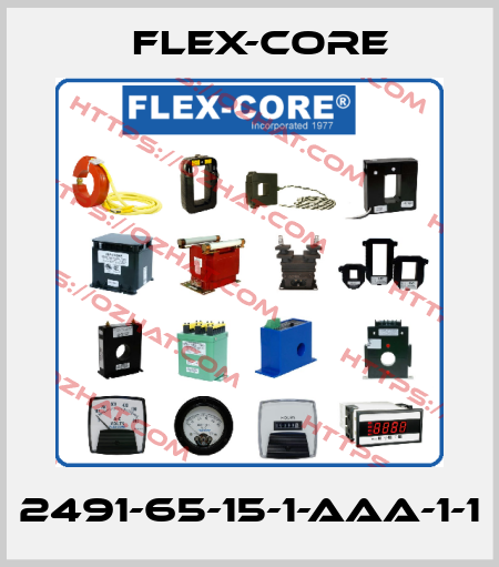 2491-65-15-1-AAA-1-1 Flex-Core
