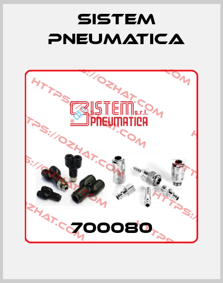 700080 Sistem Pneumatica