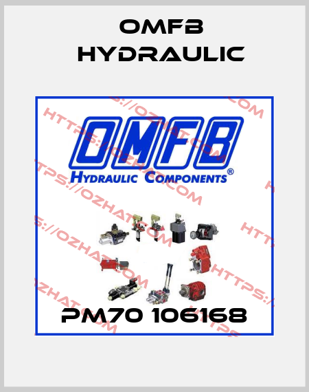 PM70 106168 OMFB Hydraulic