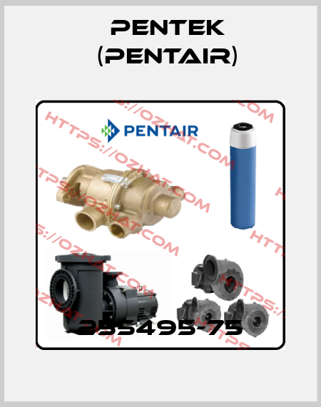 255495-75 Pentek (Pentair)
