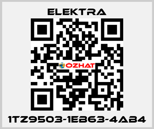 1TZ9503-1EB63-4AB4 ELEKTRA