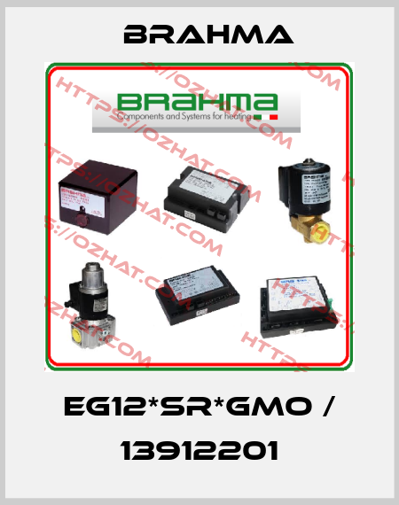 EG12*SR*GMO / 13912201 Brahma