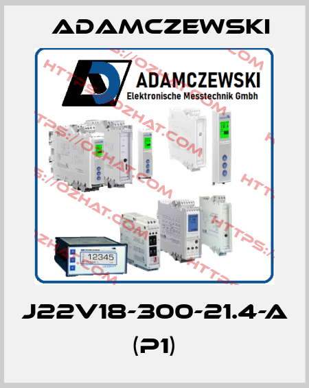 J22V18-300-21.4-A (P1) Adamczewski