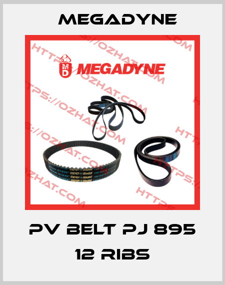 PV belt PJ 895 12 ribs Megadyne