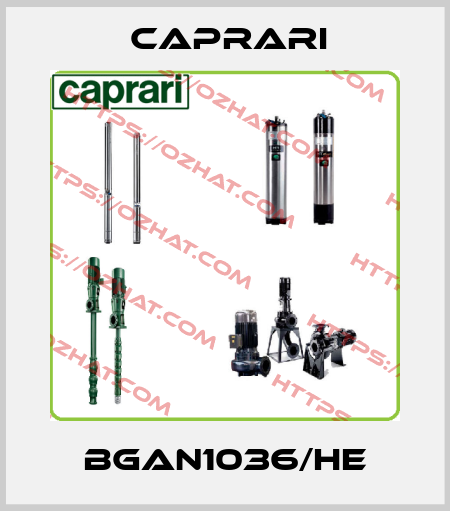 BGAN1036/HE CAPRARI 