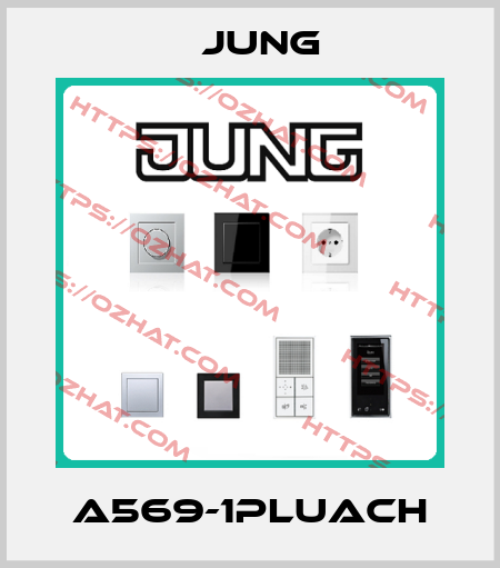 A569-1PLUACH Jung