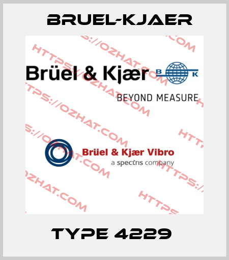 TYPE 4229  Bruel-Kjaer