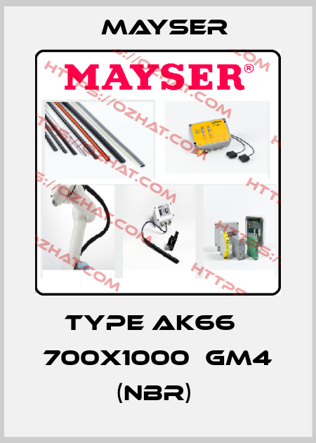 TYPE AK66   700X1000  GM4 (NBR)  Mayser