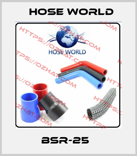 BSR-25   HOSE WORLD