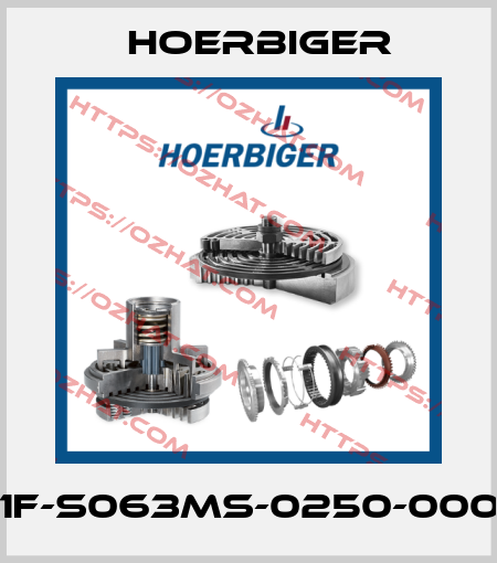 P1F-S063MS-0250-0000 Hoerbiger