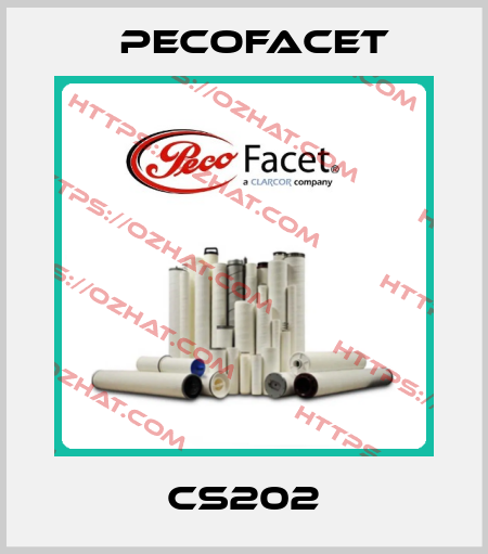 CS202 PECOFacet