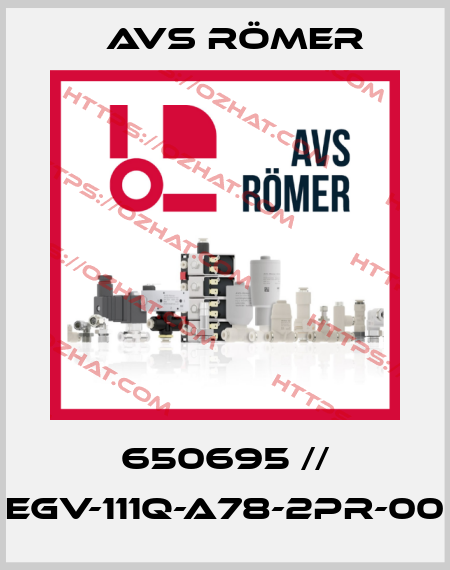 650695 // EGV-111Q-A78-2PR-00 Avs Römer