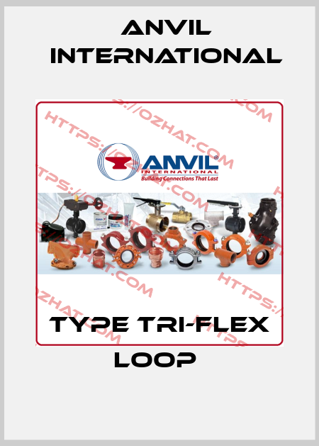 TYPE TRI-FLEX LOOP  Anvil International