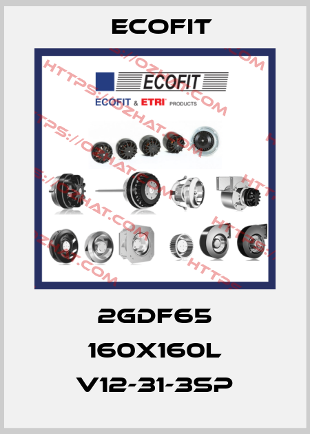 2GDF65 160x160L V12-31-3SP Ecofit