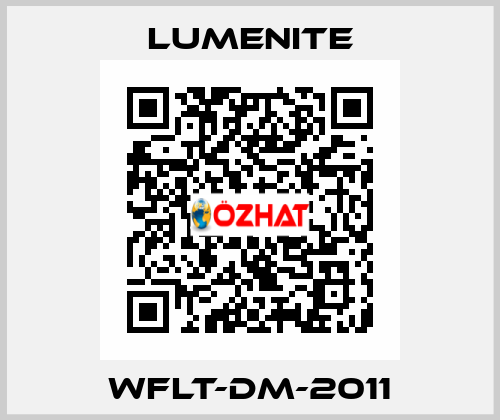 WFLT-DM-2011 LUMENITE