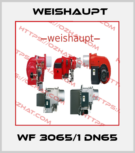 WF 3065/1 DN65 Weishaupt