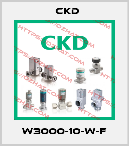 W3000-10-W-F Ckd