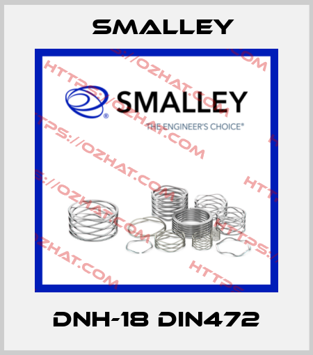 DNH-18 DIN472 SMALLEY