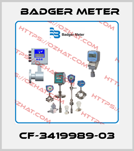 CF-3419989-03 Badger Meter