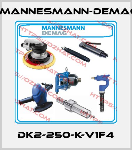 DK2-250-K-V1F4 Mannesmann-Demag