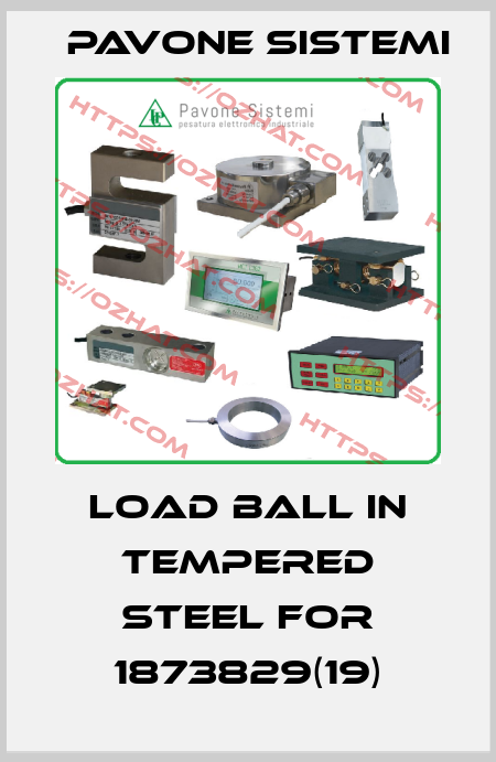 Load ball in tempered steel for 1873829(19) PAVONE SISTEMI