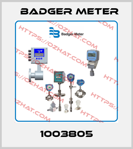 1003805 Badger Meter