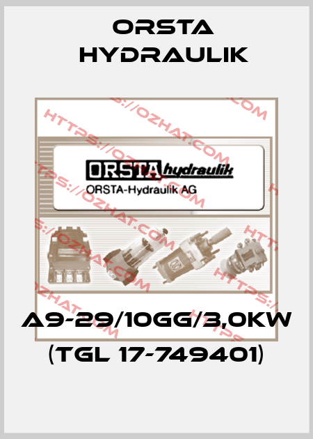 A9-29/10GG/3,0KW (TGL 17-749401) Orsta Hydraulik