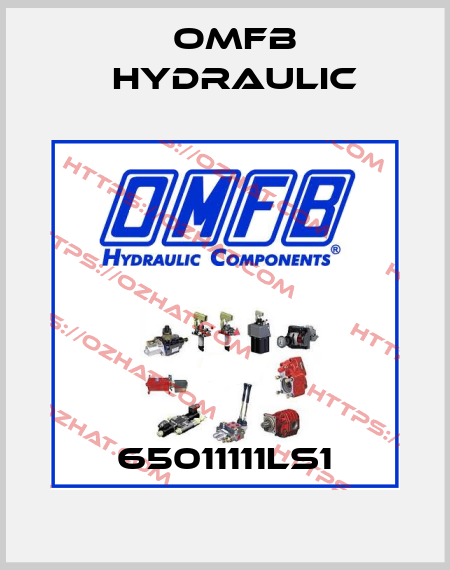 65011111LS1 OMFB Hydraulic