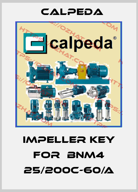 impeller key for  BNM4 25/200C-60/A Calpeda