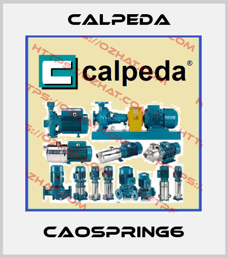 CAOSPRING6 Calpeda