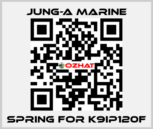 spring for K9IP120F JUNG-A MARINE