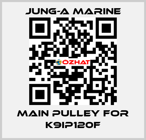main pulley for K9IP120F JUNG-A MARINE